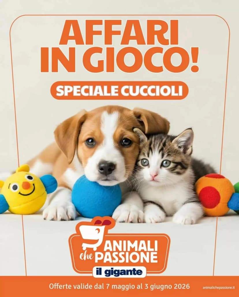 Volantino Il gigante
