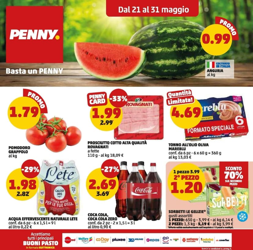 Volantino Penny