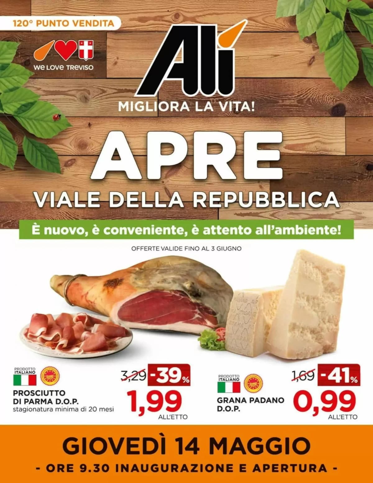 Copertina volantino Ali