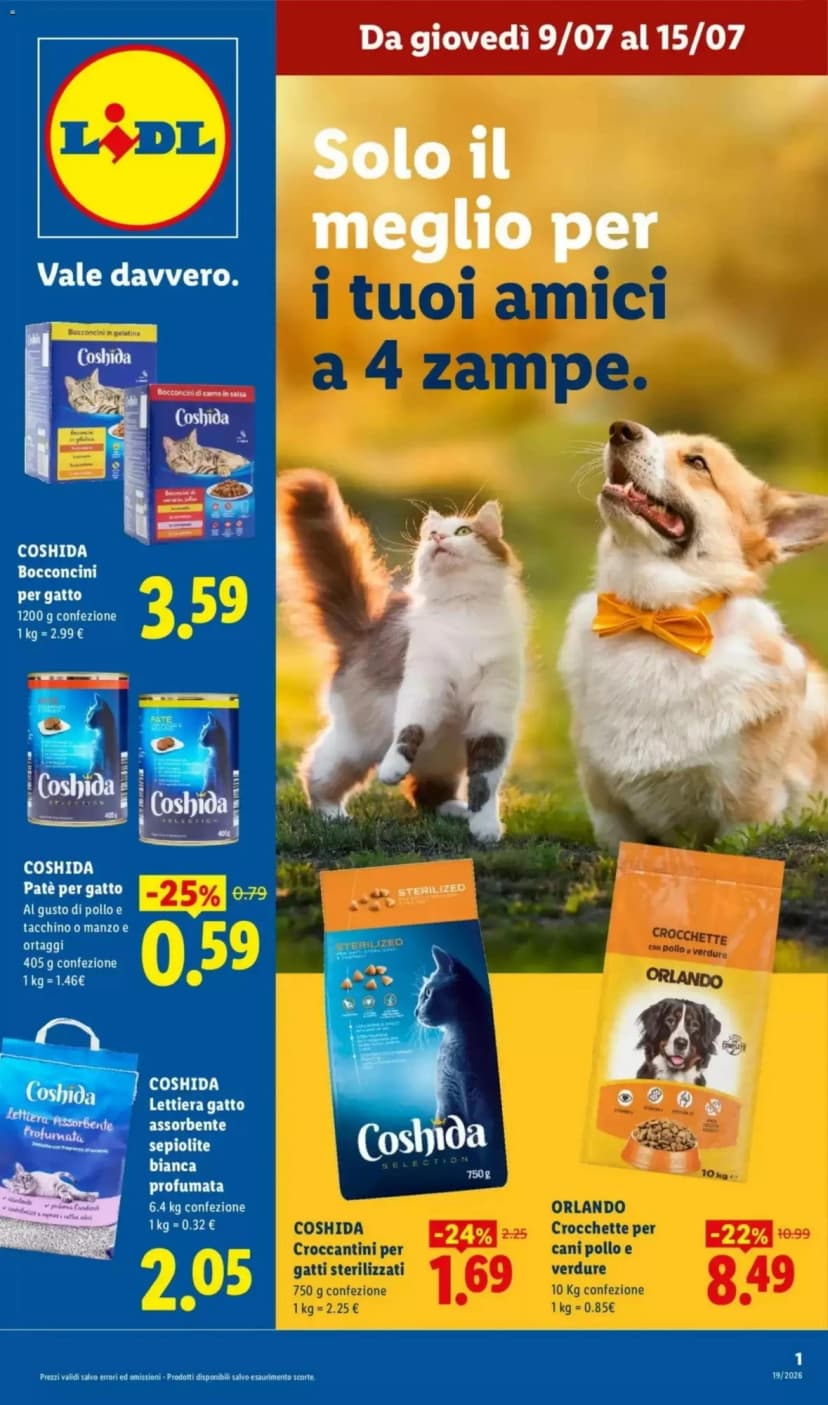 Volantino Lidl