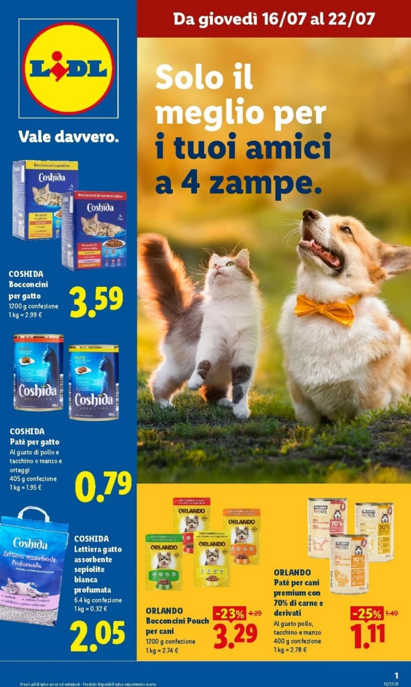 Volantino Lidl