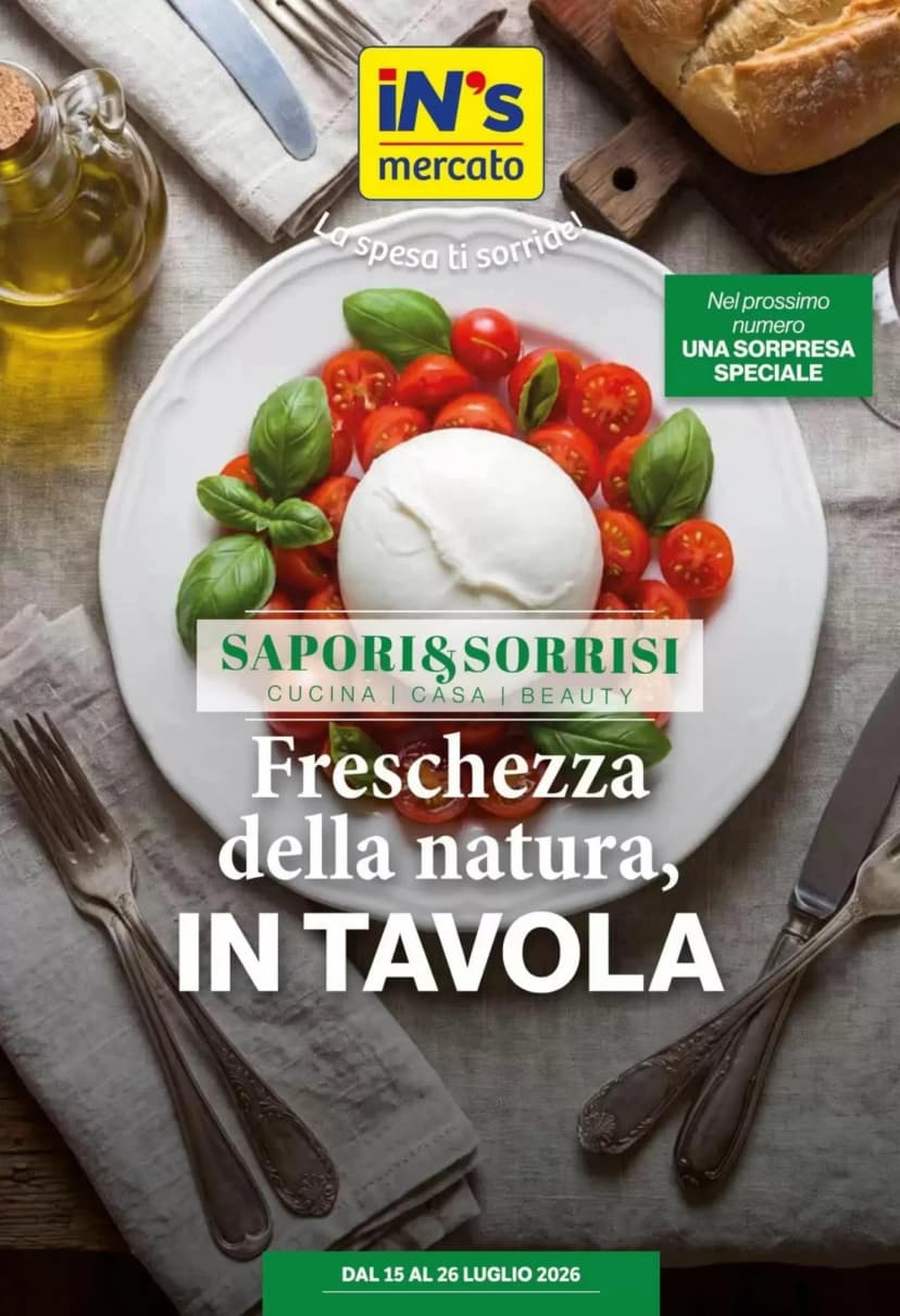 Volantino Ins Discount