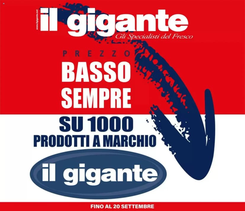 Volantino Il gigante