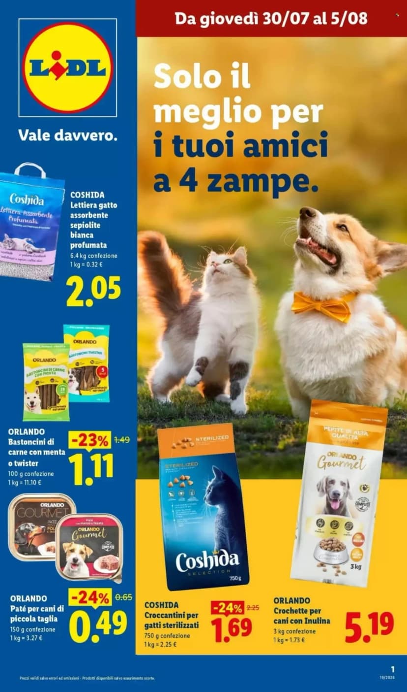 Volantino Lidl