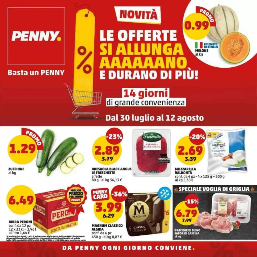 Volantino Penny