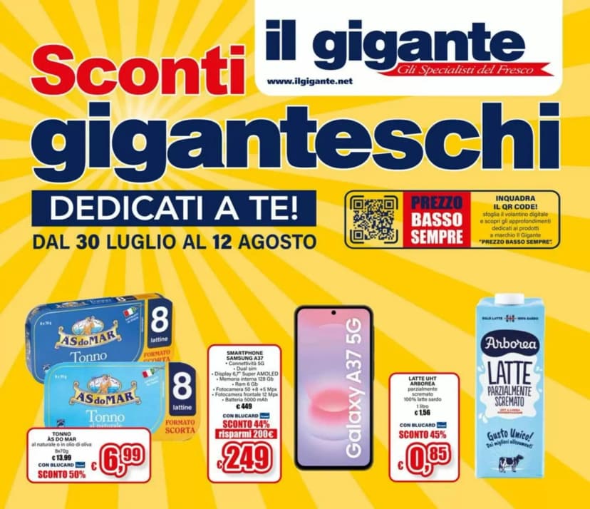 Volantino Il gigante