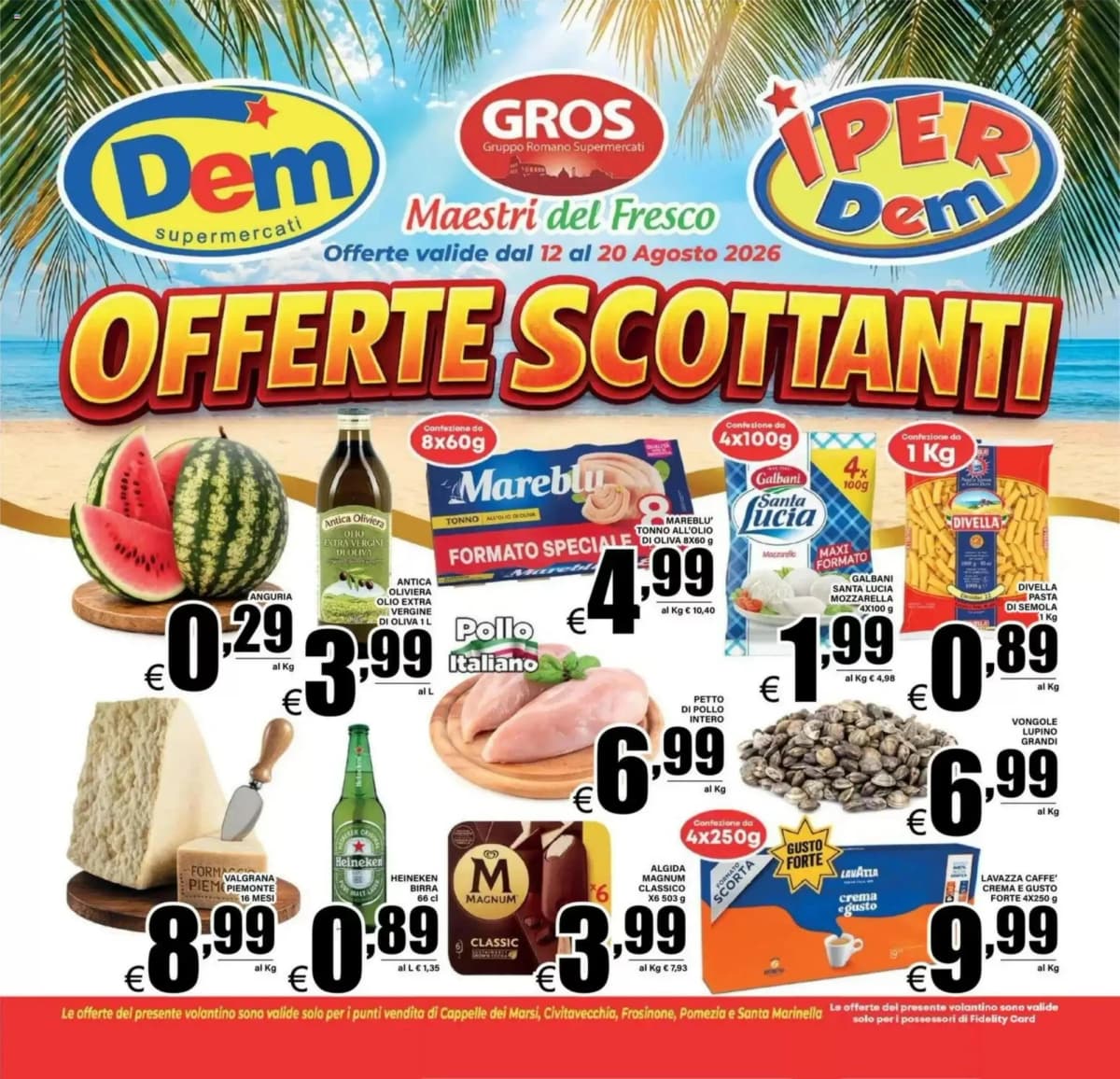Copertina volantino Dem