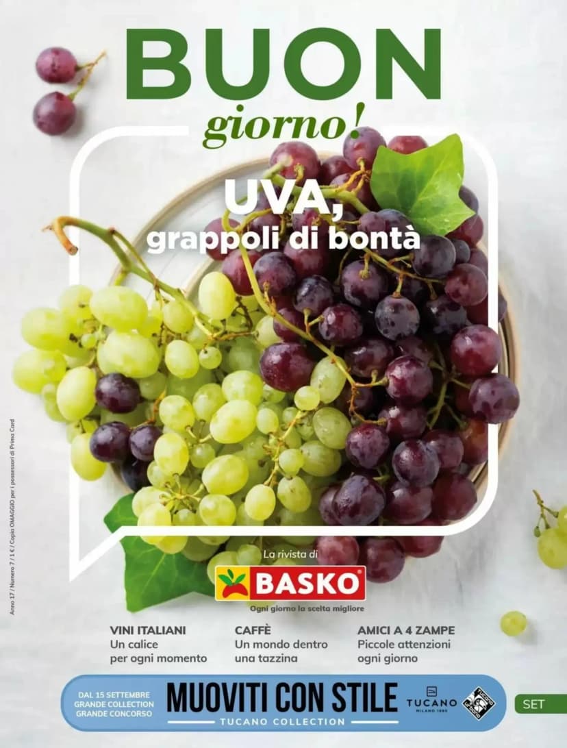 Volantino Basko