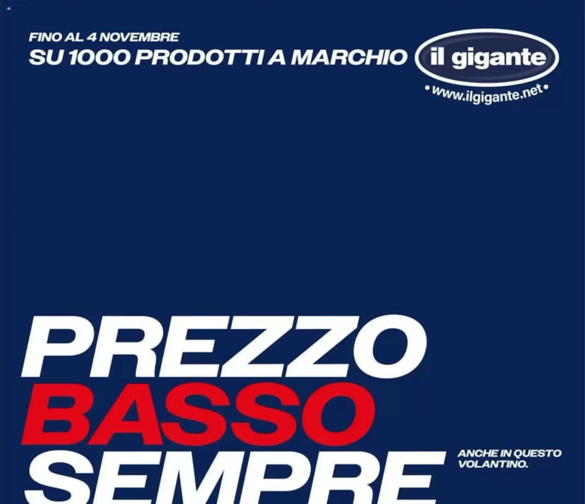 Volantino Il gigante