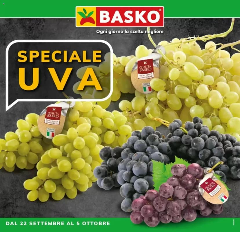 Volantino Basko