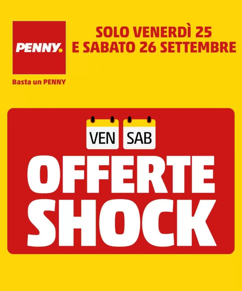 Volantino Penny