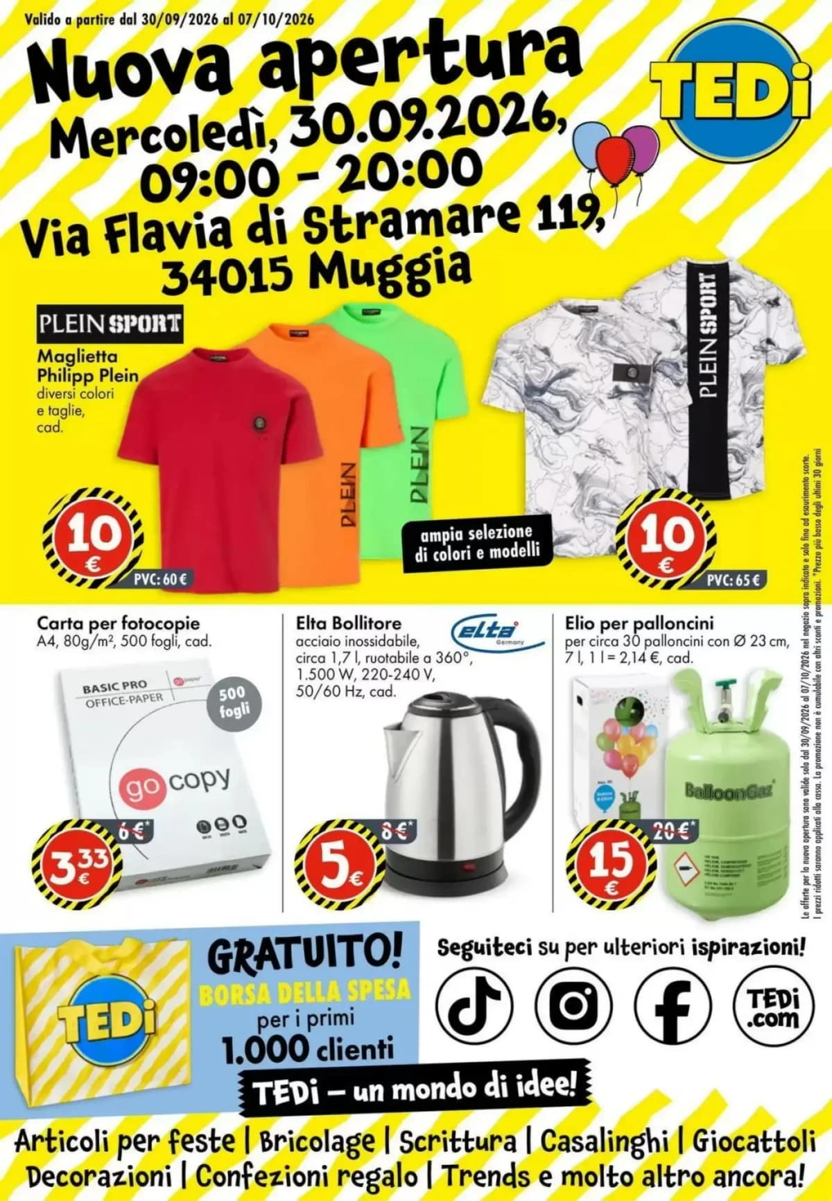 Copertina volantino Tedi