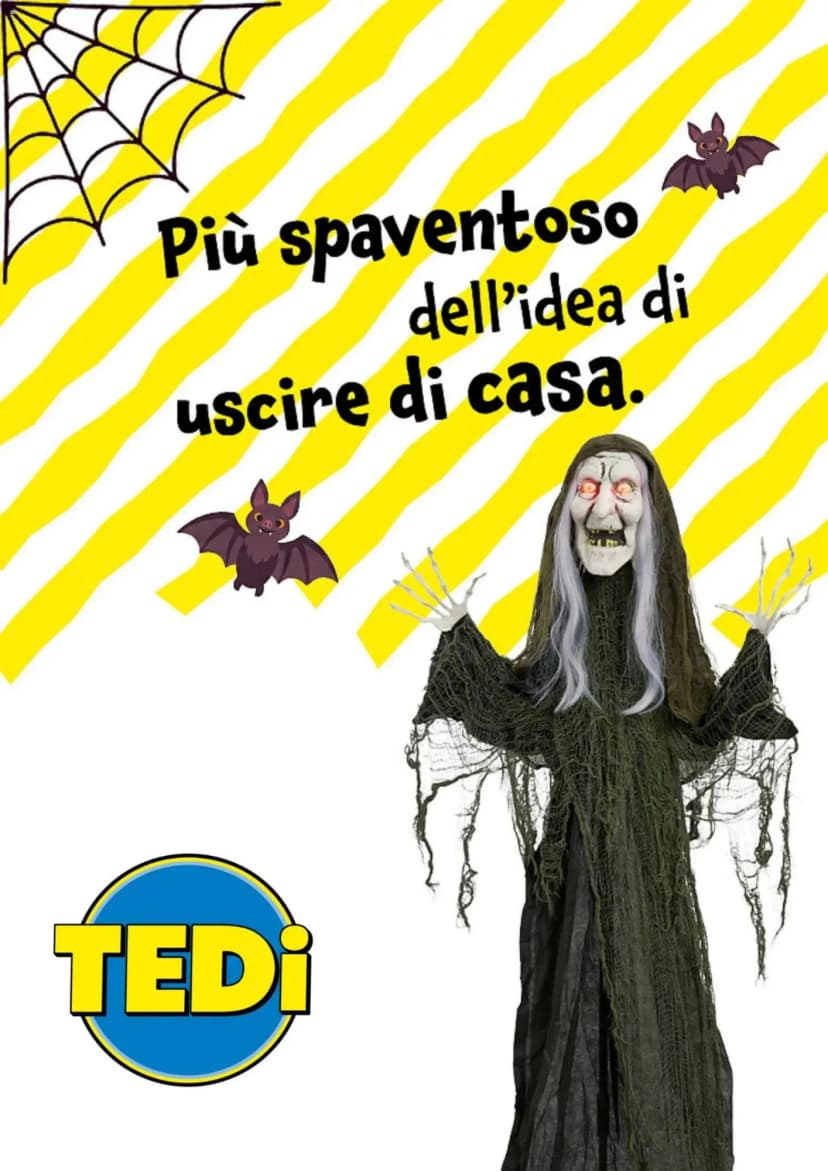 Volantino Tedi