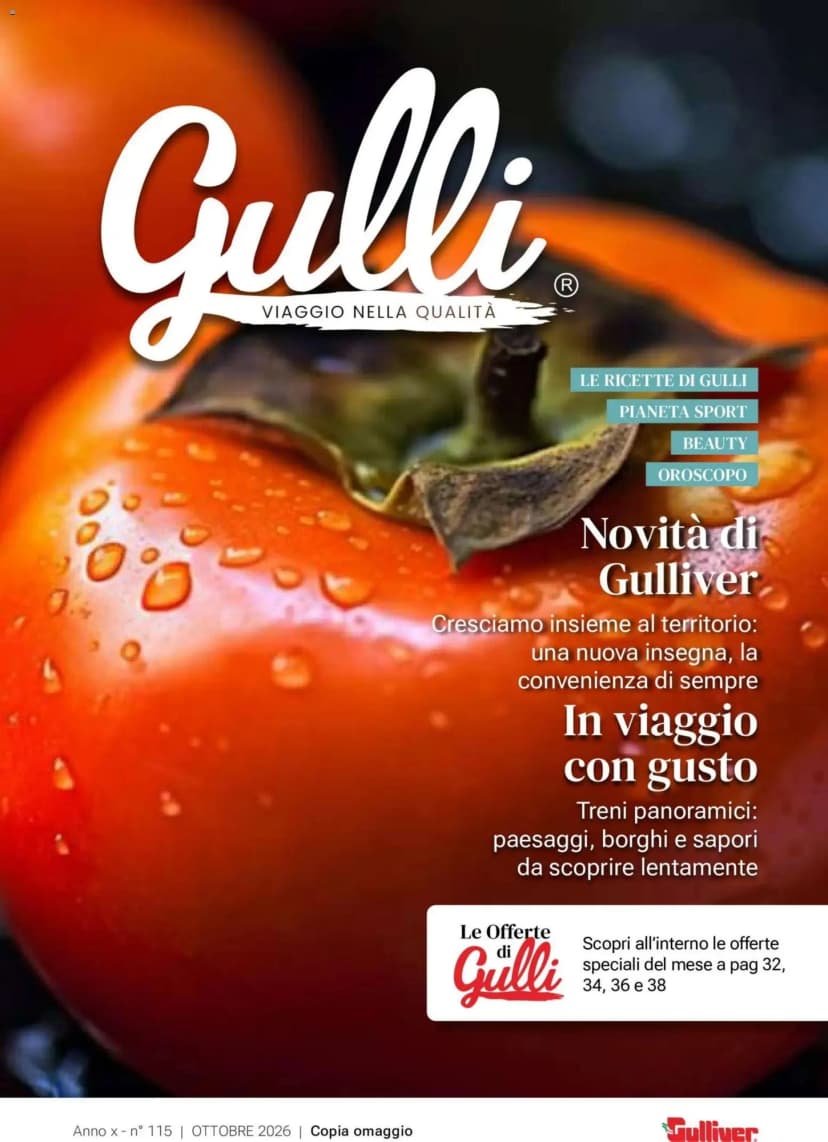 Volantino Gulliver