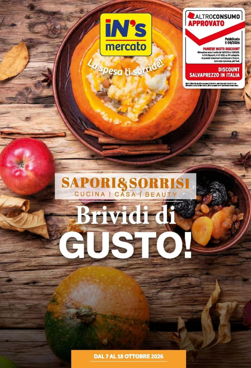 Volantino Ins Discount