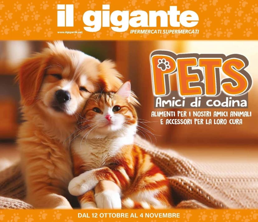 Volantino Il gigante