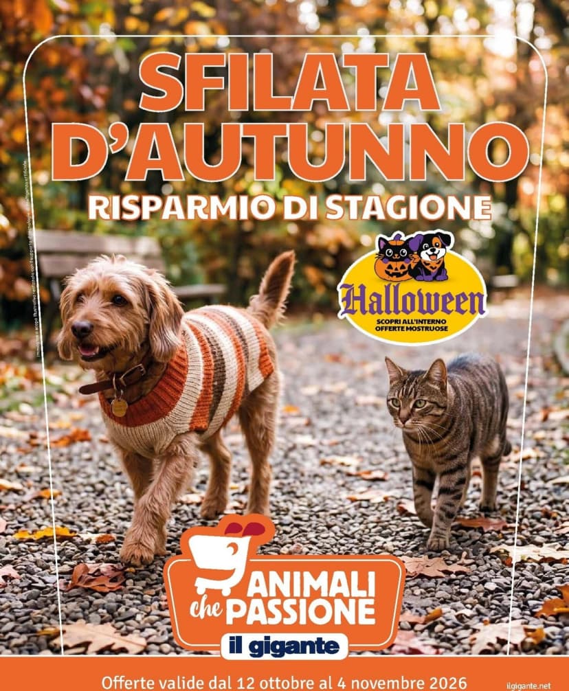 Volantino Il gigante
